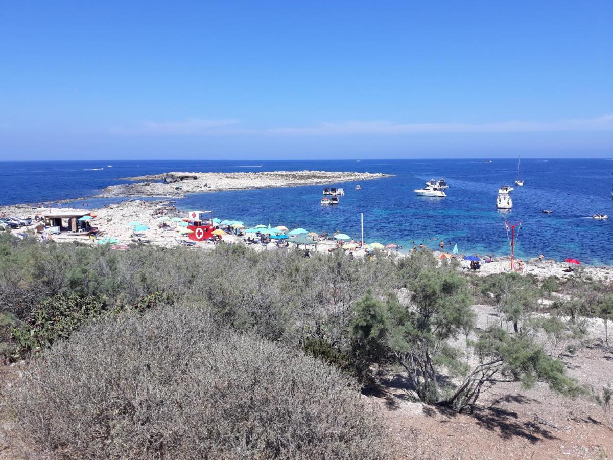 Sunshine Holiday Apartment 8 With Spectacular Seaviews セント・ポールズ・ベイ エクステリア 写真